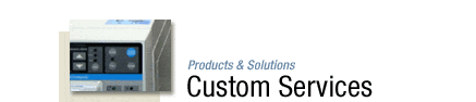 Products and Solutions - Custom Services